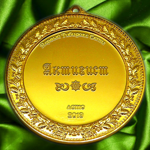медаль активиста
